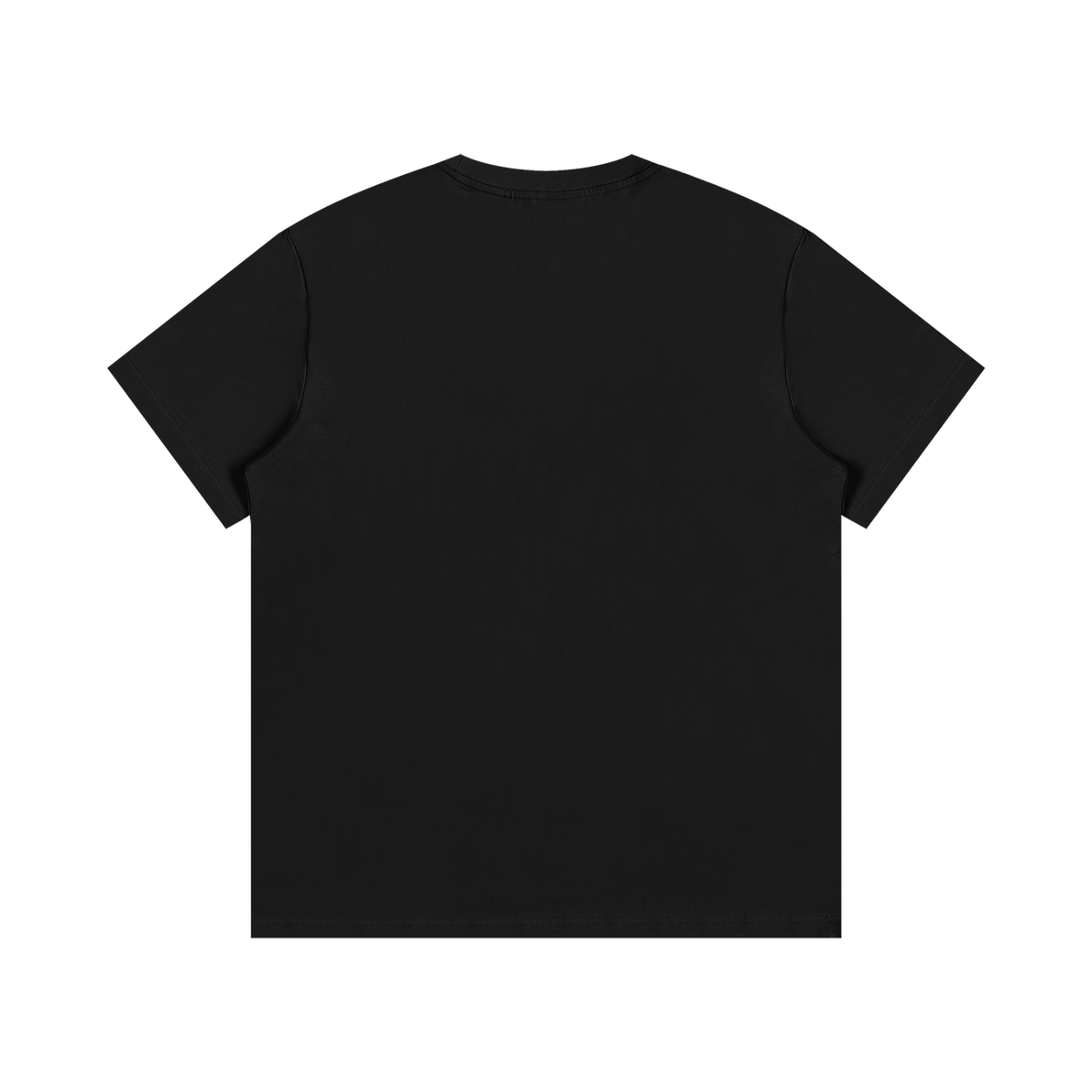 Wurlitzer Prize Essential Cotton T-Shirt